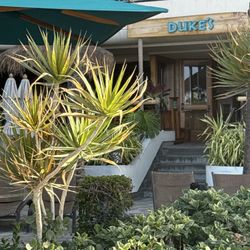 Aqualani Beach & Ocean Recreation - From the Blue Umbrella to Dukes Waikīkī