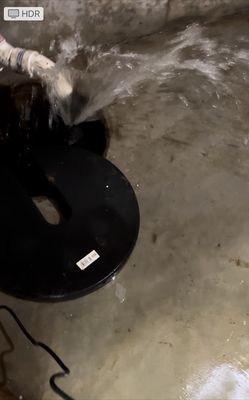 Mr Drain The Sewer Specialist Logo