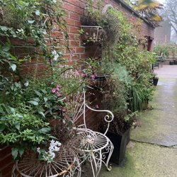 The Burton Stone - Rear patio