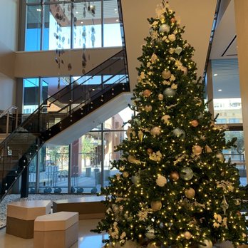 The Westin Tempe - Lobby - Hotels Near Me - Tempe, Arizona