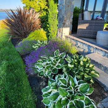 Peacock Landscape & Irrigation - Landscaping Near Me Peacock Landscape & Irrigation - Landscaping Near Me