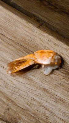 Ajisen Ramen by null