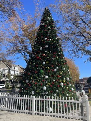 sweetgreen - Healthy Salads, Bowls and Plates by null