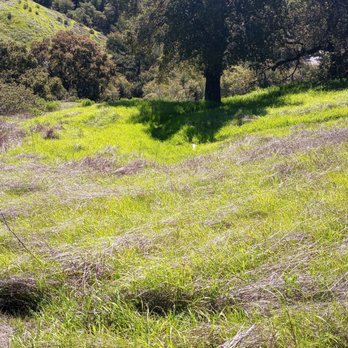 orinda oaks park - Parks Near Me - Orinda, California orinda oaks park - Parks Near Me - Orinda, California