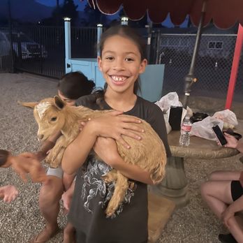 Farm Americana - Petting zoo - Ice Cream & Frozen Yogurt Near Me - Cherry Valley, California