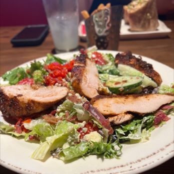 Red Heat Tavern - Chopped Blue Cheese Salad with chicken - Gluten-Free Near Me - Westborough, Massachusetts Red Heat Tavern - Chopped Blue Cheese Salad with chicken - Gluten-Free Near Me - Westborough, Massachusetts