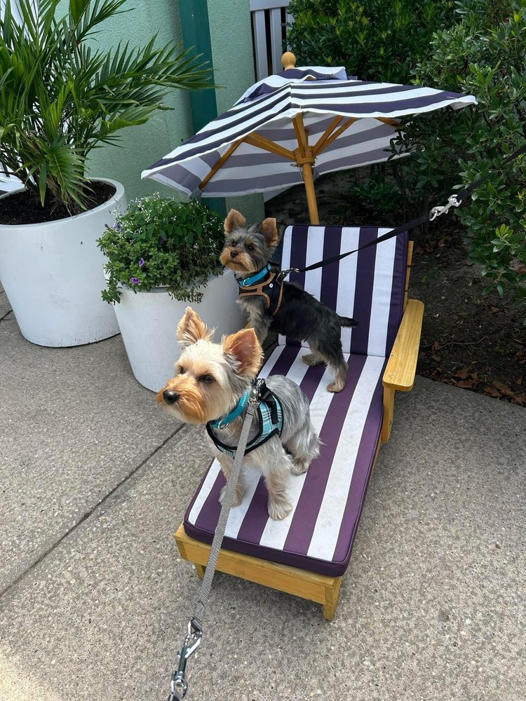 o Jupiter Florida Real Estate For Sale