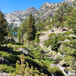 Eagle Falls Trailhead
