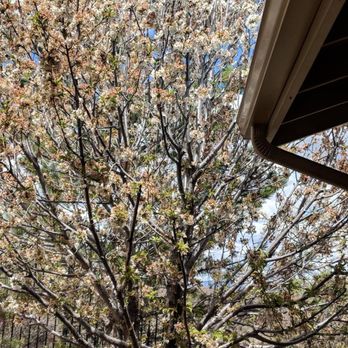 Seamless Solutions - Gutter Services Near Me Seamless Solutions - Gutter Services Near Me