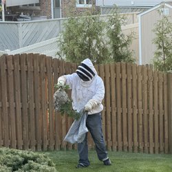 Southwest Exterminators - Nest removed!