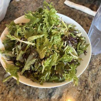 Fresh Bites - Green Salad large - Lebanese Near Me - Tampa, Florida