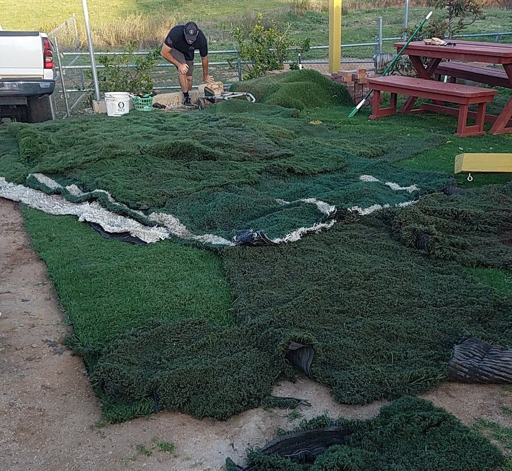 ZASGRASS ARTIFICIAL TURF Updated September 2024 59 Photos & 20