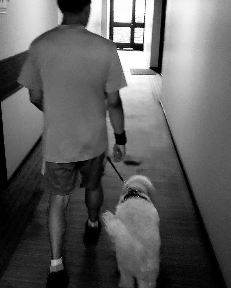 Bay Area Ketamine Center - grief counselor in Los Altos, CA