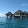 Dynamic Journeys Travel gift card