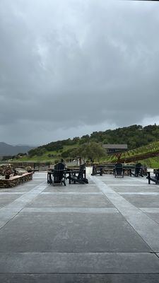 Baldacci Family Vineyards by null