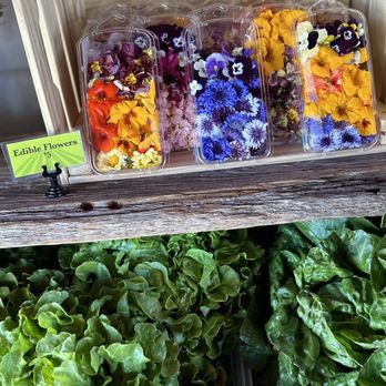 Greenhouse Gardens - Edible flowers - Farmers Market Near Me - Chandler, Arizona Greenhouse Gardens - Edible flowers - Farmers Market Near Me - Chandler, Arizona