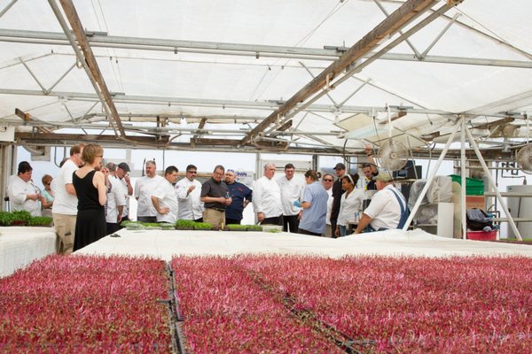 The Chef's Garden by null