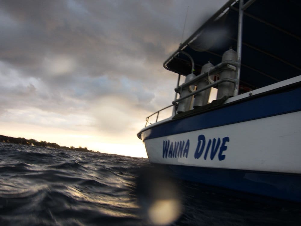 WANNA DIVE KONA Updated April 2024 13 Reviews 745035 Queen