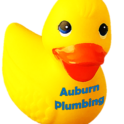 Auburn Plumbing