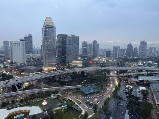 Singapore Flyer by null