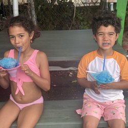 Kween Vee Smoothie - Blue raspberry Ice