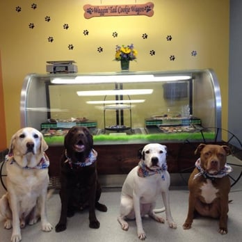 Sudzy Paws - Pet Groomers Near Me - Carterville, Illinois Sudzy Paws - Pet Groomers Near Me - Carterville, Illinois