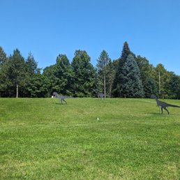 Fossil track area that was covered Fossil track area that was covered