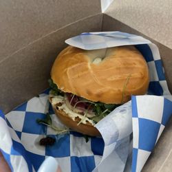 Bagel Sammy