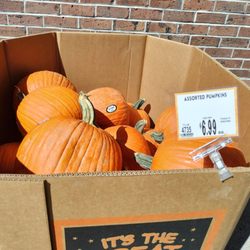 Wegmans - 09/10/2025: The Halloween prep begins, six weeks early!