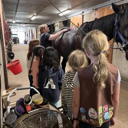 Windkist Equestrian Centre