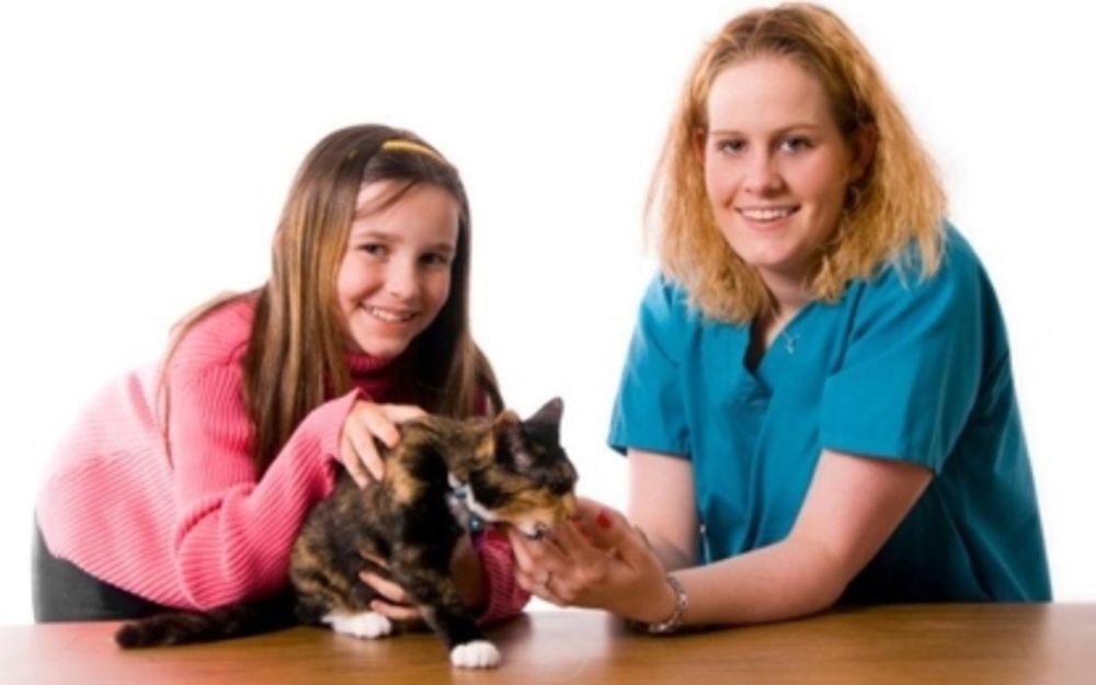 NOVA VETERINARY CLINIC Updated October 2024 16215 Highway 3, Hebbs