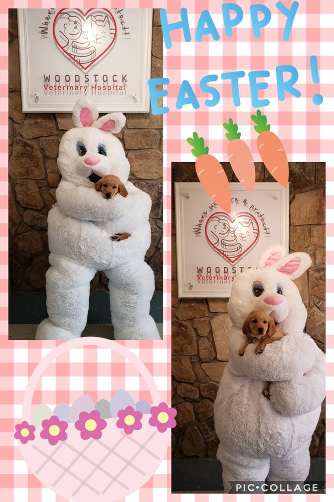 WOODSTOCK VETERINARY HOSPITAL Updated July 2024 607 Mauldin Dr