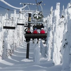 Glacier Ridge Guest Ranch - Whitefish Powder hounds