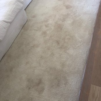 Prospect Hardwood Flooring - Stained carpets near dining room - Flooring Near Me - Manassas, Virginia Prospect Hardwood Flooring - Stained carpets near dining room - Flooring Near Me - Manassas, Virginia