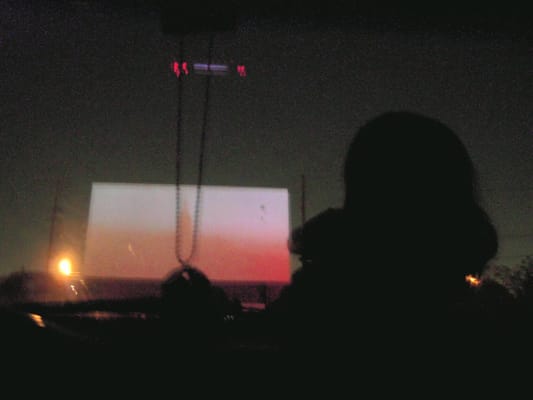 Vineland Drive-In by null
