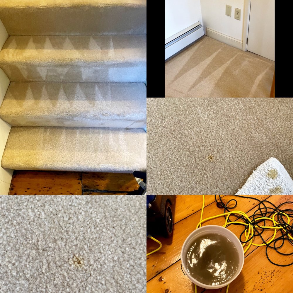 EXPRESS CLEANING 49 Photos Lowell, Massachusetts Carpet Cleaning
