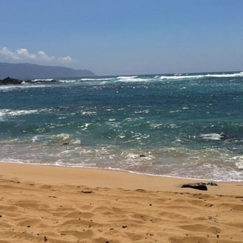 Laniakea Beach - Beaches Near Me - Haleiwa, Hawaii Laniakea Beach - Beaches Near Me - Haleiwa, Hawaii