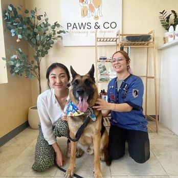 Paws & Co - Melanie & Staff are " Top Notch!" - Pet Groomers Near Me - Covina, California