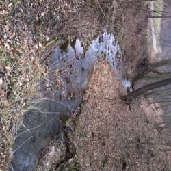 Am Halterbach - Nahe Rieglethütte