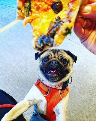 Meta Pizza by null