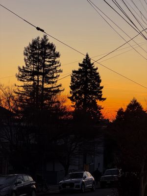 Cafenated Coffee Company by null