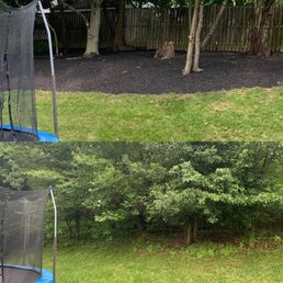 Before/After Landscaping Before/After Landscaping