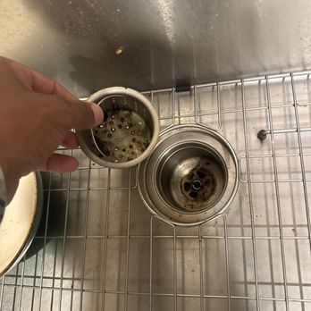 Maid to Glow - Kitchen Sink disposal Before - Home Cleaning Near Me Maid to Glow - Kitchen Sink disposal Before - Home Cleaning Near Me