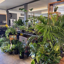 New plant deliveries are our favorite!