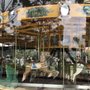Photo of Carousel