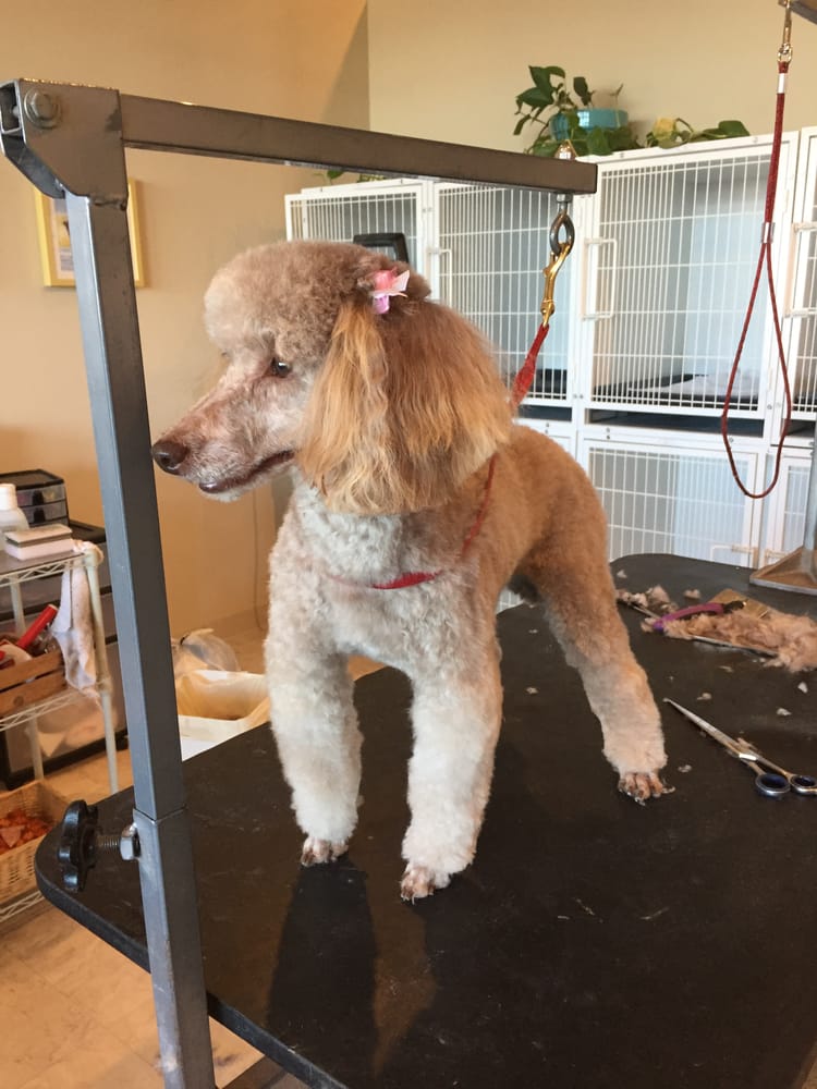 THE GROOM ROOM Updated September 2024 1865 Wayzata Blvd, Long Lake