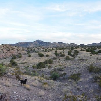 Acacia Riding Adventures - Horseback Riding Near Me - San Acacia, New Mexico Acacia Riding Adventures - Horseback Riding Near Me - San Acacia, New Mexico