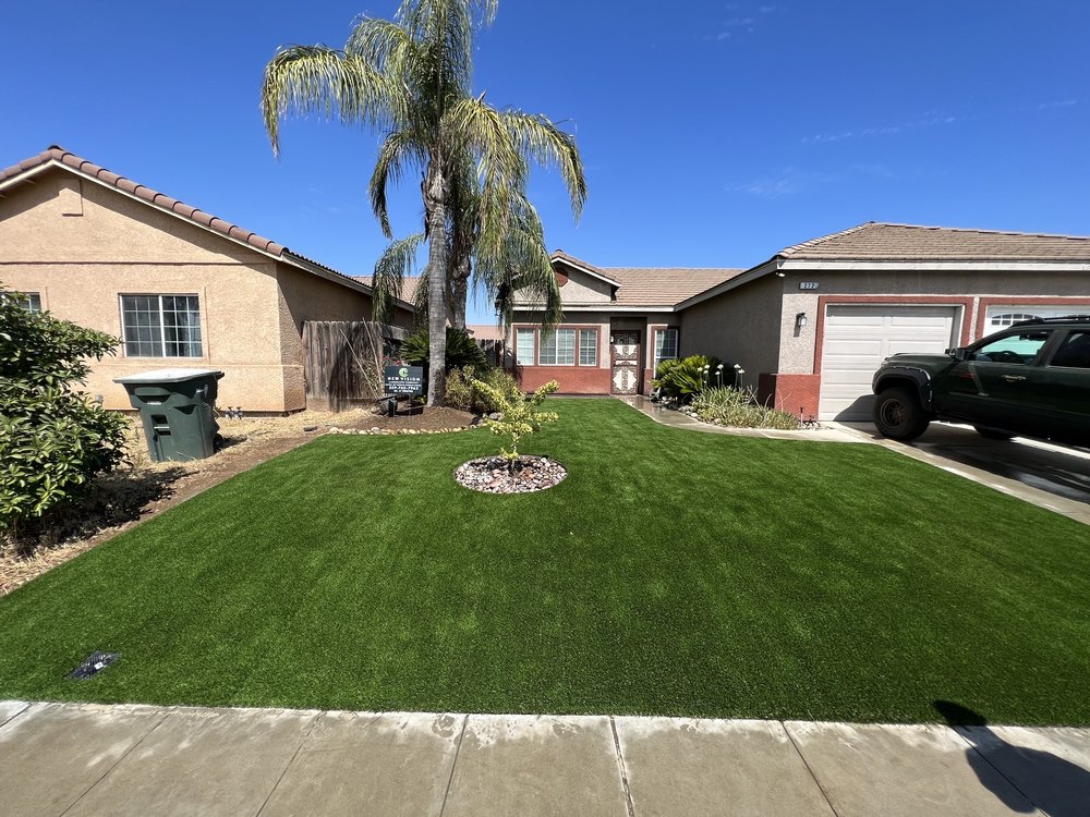 NEW VISION LANDSCAPE COMPANY Updated September 2024 24 Photos