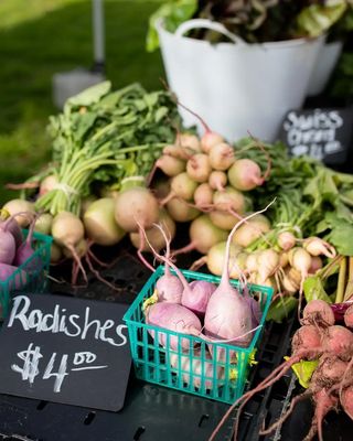 SFC Farmers' Market at Sunset Valley by null