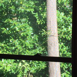 Hopewell House - View from Grams room...